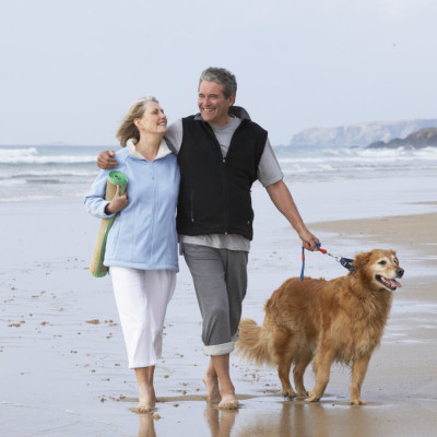 Couple walking their dog on the beach